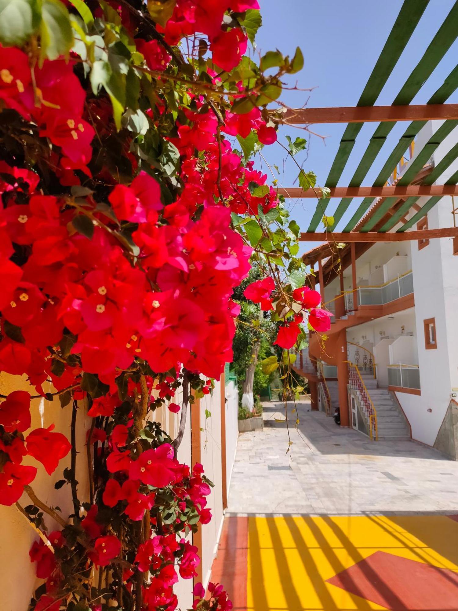 Evli Daire Resmo Dış mekan fotoğraf